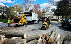 Best Leaf Removal  in Peoria, IL